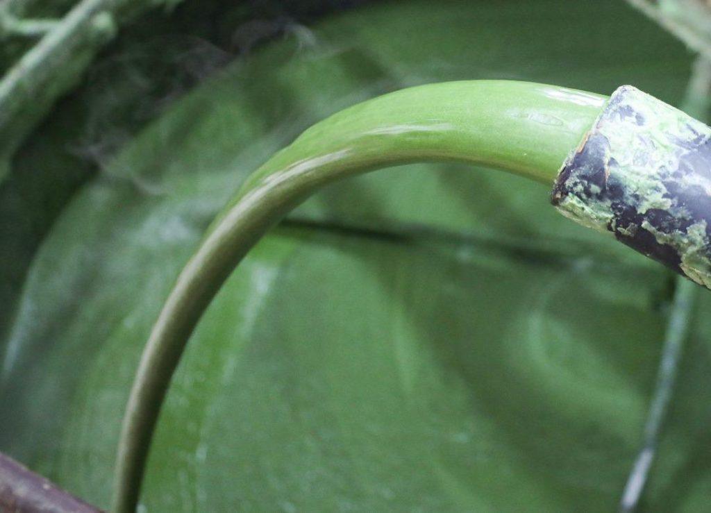 Savon d'Alep - Maison du Laurier