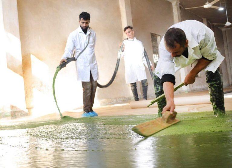 Savon d'Alep - Maison du Laurier